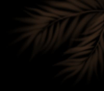 Palm leaf overlay